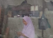 Perkembangan Situasi dan Penanganan Bencana Tanggal 4 Mei 2025