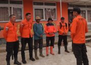 Seorang Warga Tertimpa Pohon di Solok Selatan, Tim SAR Lakukan Evakuasi