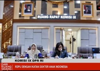 Komisi IX DPR  RI Audiensi dengan IDAI, Bahas Sejumlah Kebijakan Strategis