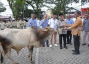 PERUMDA AM Kembali Salurkan Sapi Kurban Untuk Masjid dan Musala di  Padang