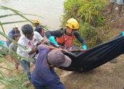 Nahas, Korban Diterkam Buaya di Pasaman Barat Ditemukan Meninggal Dunia