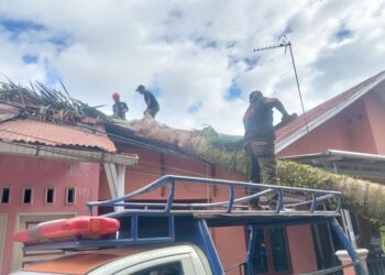 Pohon Tumbang Hantam Rumah Warga dan Kabel Listrik, Kerugian Capai Rp15 Juta