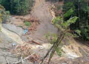 Update Banjir Bandang Pegunungan Arfak, 15 Korban Ditemukan Meninggal, 4 Masih Hilang