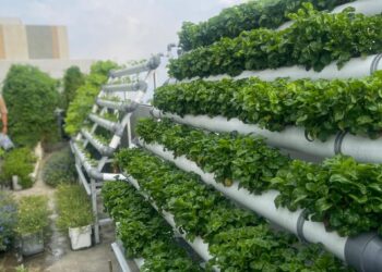 Hanya di Hotel Santika Premiere dan Hotel Amaris Padang, Menginap Sambil Menjaga Bumi