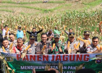 Panen Jagung Perdana di Indudur, Kolaborasi Pemerintah dan Polri Dukung Ketahanan Pangan