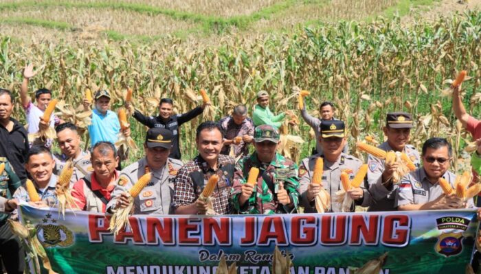 Panen Jagung Perdana di Indudur, Kolaborasi Pemerintah dan Polri Dukung Ketahanan Pangan