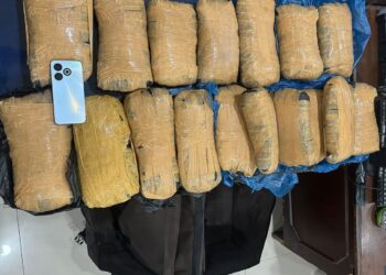 Polda Sumbar Tangkap Pengedar Ganja di Agam, 17 Paket Besar Diamankan