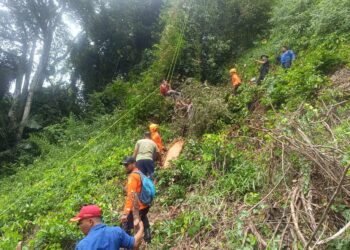 Tim SAR Padang Evakuasi Warga Terjepit Pohon di Gunung Pangilun