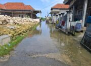Perkembangan Situasi dan Penanganan Bencana 29 Mei 2025
