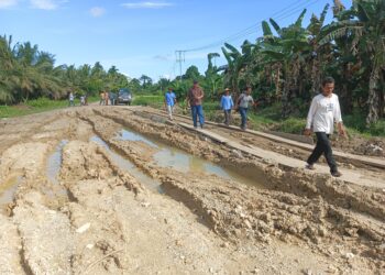 Diduga Dikorupsi, Proyek Pembangunan Jalan dan Normalisasi Jadi Sumber Kesengsaraan Masyarakat Adat Taileleu Mentawai