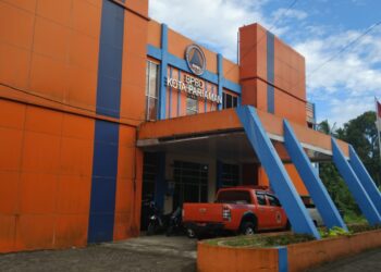 Potensi Pohon Tumbang Akibat Badai, Masyarakat Diminta Waspada