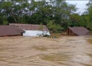 Banjir Melanda Kabupaten Berau, Ratusan Jiwa Terdampak