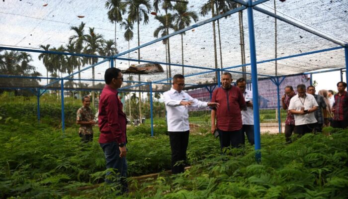 Kolaborasi Hijau: PT Semen Padang dan PPNP Tanam Harapan Lewat 2 Juta Bibit Kaliandra