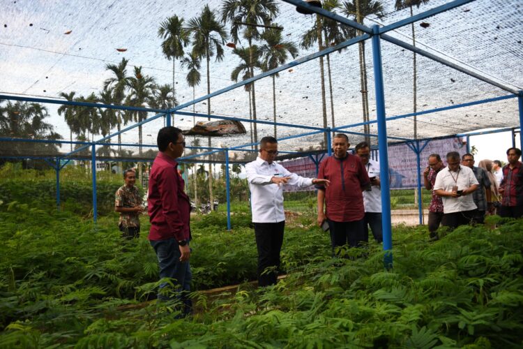Dirut PT Semen Padang Indrieffouny Indra bersama rombongan meninjau nursery kaliandra merah di Politeknik Pertanian Negeri Payakumbuh beberapa waktu lalu. IST
