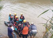 Korban Terkaman Buaya di Pasbar Ditemukan