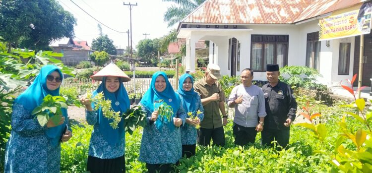 TP-PKK Pasaman Barat, Sifrowati Yulianto meninjau tanaman pekarangan keluarga persiapan penilaian Provinsi Sumbar, Rabu (13/5). OSNIWATI