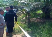 Dibunuh Sepupu Sendiri, Motif Tragis di Balik Kematian Dua Wanita di Abai Solok Selatan Terkuak