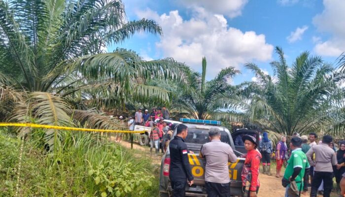 Dua Pekerja Ditemukan Tewas di Kebun Sawit PT BPSJ SS I Madiak