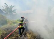 Pembakaran Sampah Picu Kebakaran Lahan Kosong di Pasar Ambacang
