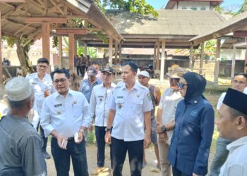 Jelang Iduladha 1446 H, Anggota DPR RI, Bupati dan Wabup Kunjungi Pasar Ternak Nagari Sungai Sariak