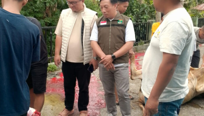 PemNag Batipuah Ateh Ucapkan Terima Kasih kepada Gubernur Sumbar atas Bantuan Sapi Kurban