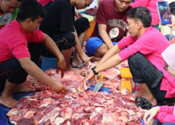 Inovatif! Darah Hewan Qurban di SMK SMAKPA Diolah Jadi Pupuk Ramah Lingkungan