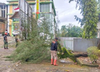 Cuaca Ekstrem, Pohon Tumbang Timpa Pagar dan Jalan Masuk Kantor Baznas Padang