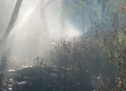 Perkembangan Situasi dan Penanganan Bencana di Tanah Air per 12 Juni 2025