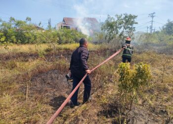 Kebakaran Lahan Ilalang di Parupuk Tabing Nyaris Rembet ke Permukiman Warga