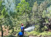 Perkembangan Situasi dan Penanganan Bencana di Tanah Air 14 Juni 2025