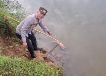 Potongan Tubuh Kembali Ditemukan di Sungai Batang Anai, Diduga Milik Mayat Sebelumnya