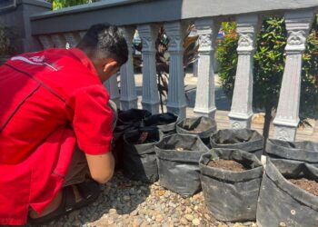 WBP Rutan Batusangkar Budidayakan Jahe dalam Polybag: Inovasi Ketahanan Pangan di Tengah Keterbatasan Lahan