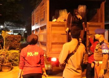 18 Remaja Diamankan Satpol PP Padang Saat Operasi Malam Tahun Baru Islam