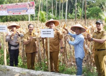 Yota Balad Panen Raya Jagung di Sikapak Barat