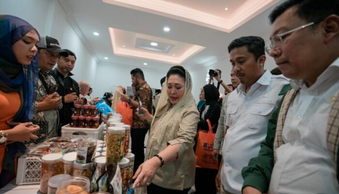 Kunjungan Komisi IV DPR RI, Perkuat Akses Sumbar ke Program Nasional