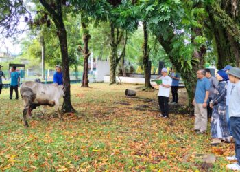 UBH Distribusikan Daging Kurban di Kampus 1 dan II