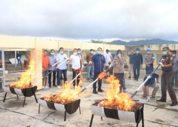 Polda Sumbar Musnahkan 15,9 Kilogram Ganja