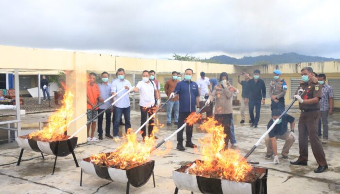 Polda Sumbar Musnahkan 15,9 Kilogram Ganja