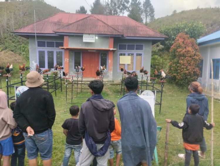 Ayam Kukuak Balenggek