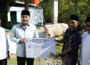Pemprov Sumbar Serahkan Satu Ekor Sapi Kurban untuk Masyarakat Sungai Nyalo