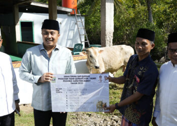 Pemprov Sumbar Serahkan Satu Ekor Sapi Kurban untuk Masyarakat Sungai Nyalo. IST