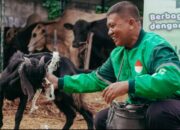Peringati Iduladha, Grab Bagikan Ratusan Ekor Kambing kepada Mitra Pengemudi