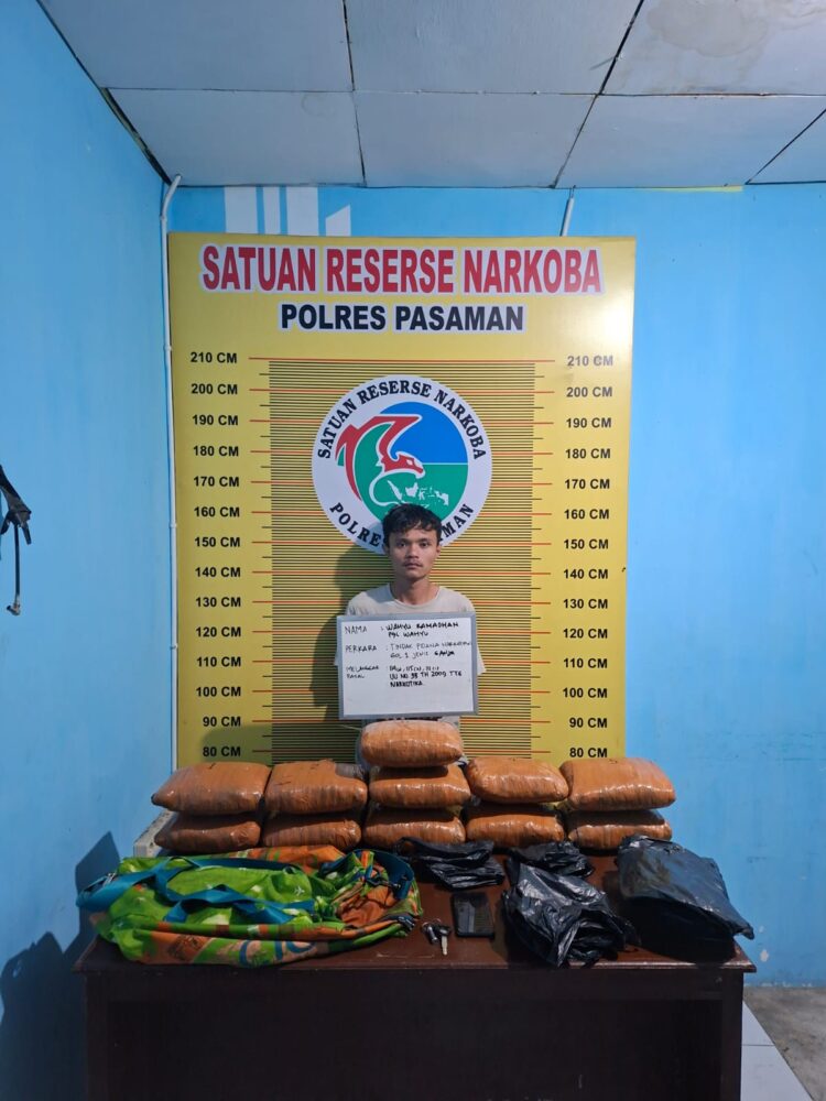 Tim Opsnal Satuan Resnarkoba Polres Pasaman mengamankan satu orang laki-laki berinisial WR yang diduga telah melakukan tindak pidana narkotika golongan I . IST