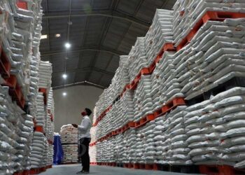 Pemerintah Miliki 4 Juta Ton Cadangan Beras