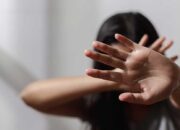 Anak Putri Mahkota Norwegia Ditangkap Atas Tuduhan Pemerkosaan dan Penyerangan Seksual