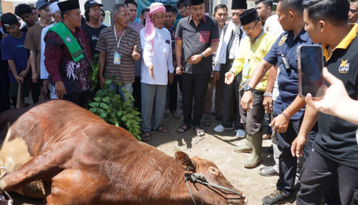 Vasko Serahkan Sapi Kurban Presiden Prabowo ke Ponpes Perkampungan Minangkabau