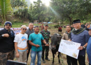 Gubernur Mahyeldi Serahkan Sapi Kurban untuk Masyarakat Kabupaten Solok