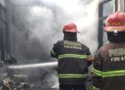 152 Kasus Kebakaran Terjadi di Padang hingga Juni 2025