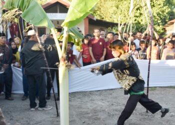 Manabang Batang Pisang Prosesi Kedua Pesona Hoyak Tabuik Piaman 2025 Berjalan Sukses