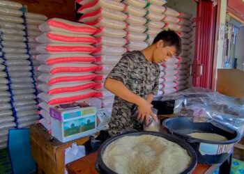 Pemprov Pastikan Sumbar Bebas Beras Oplosan